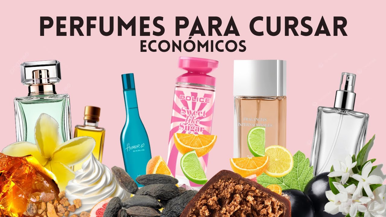 Perfumes económicos para cursar / ir a clases 🤓📚