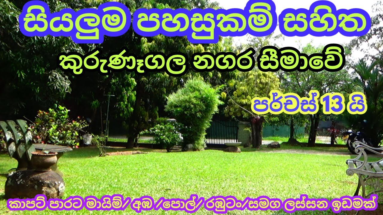 නිවසක් හදන්න ව්‍යාපාරික ස්ථානයකට කුරුණෑගල නගර සීමාවේ ඉඩමක් හොයන ඔයාලට