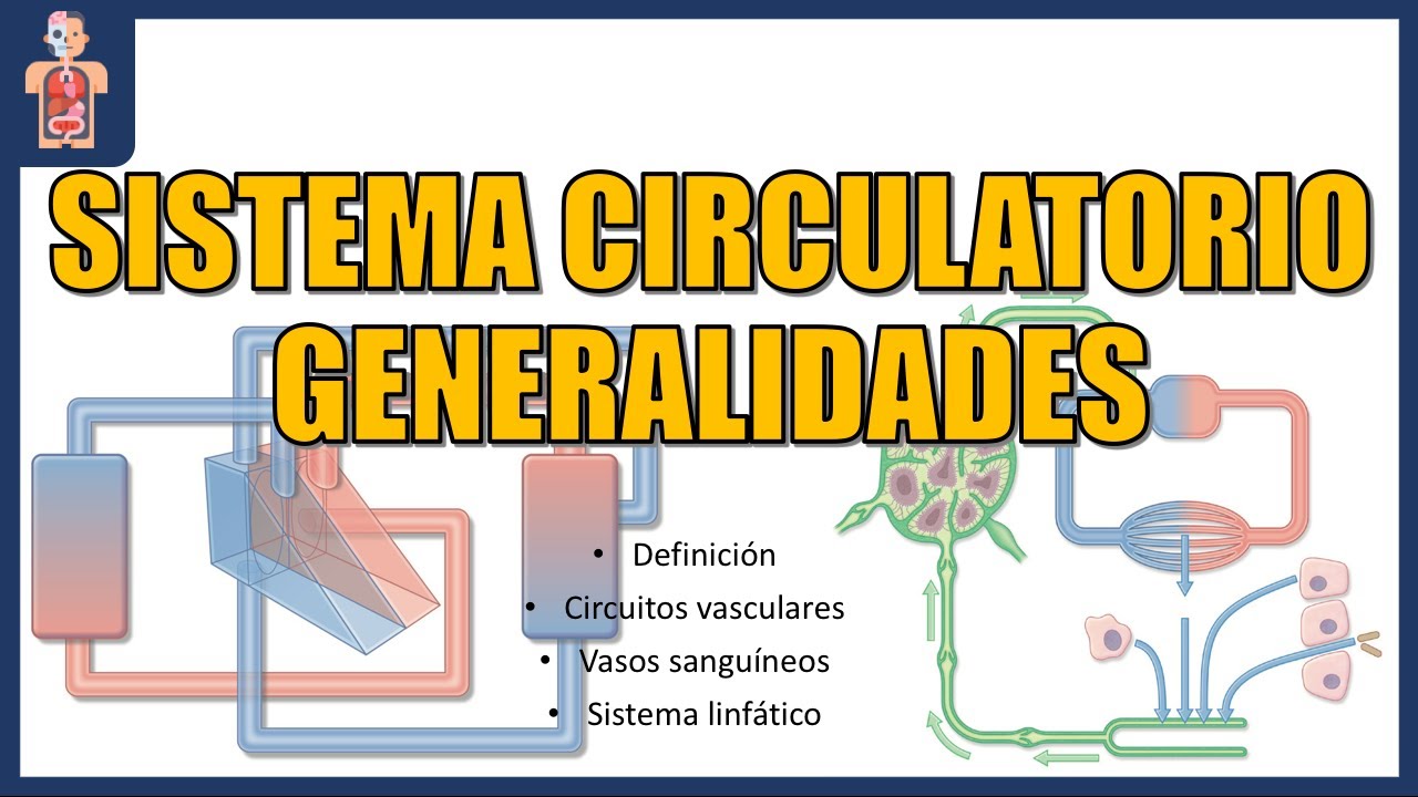 ANATOMÍA - SISTEMA CIRCULATORIO GENERALIDADES