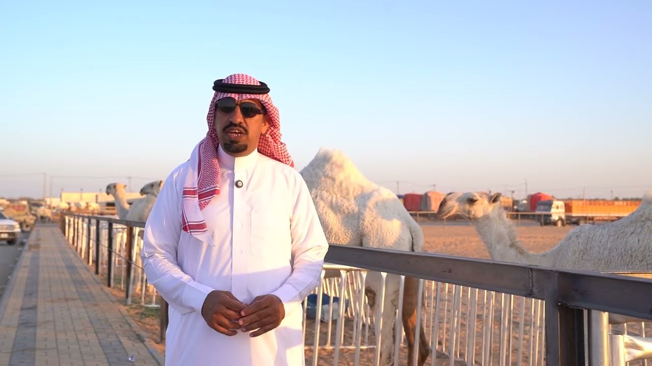 محافظ وادي الدواسر يفتتح مركز التميز لتسويق الإبل بوادي الدواسر وسط مشاركة واسعة من ملاك الإبل وال