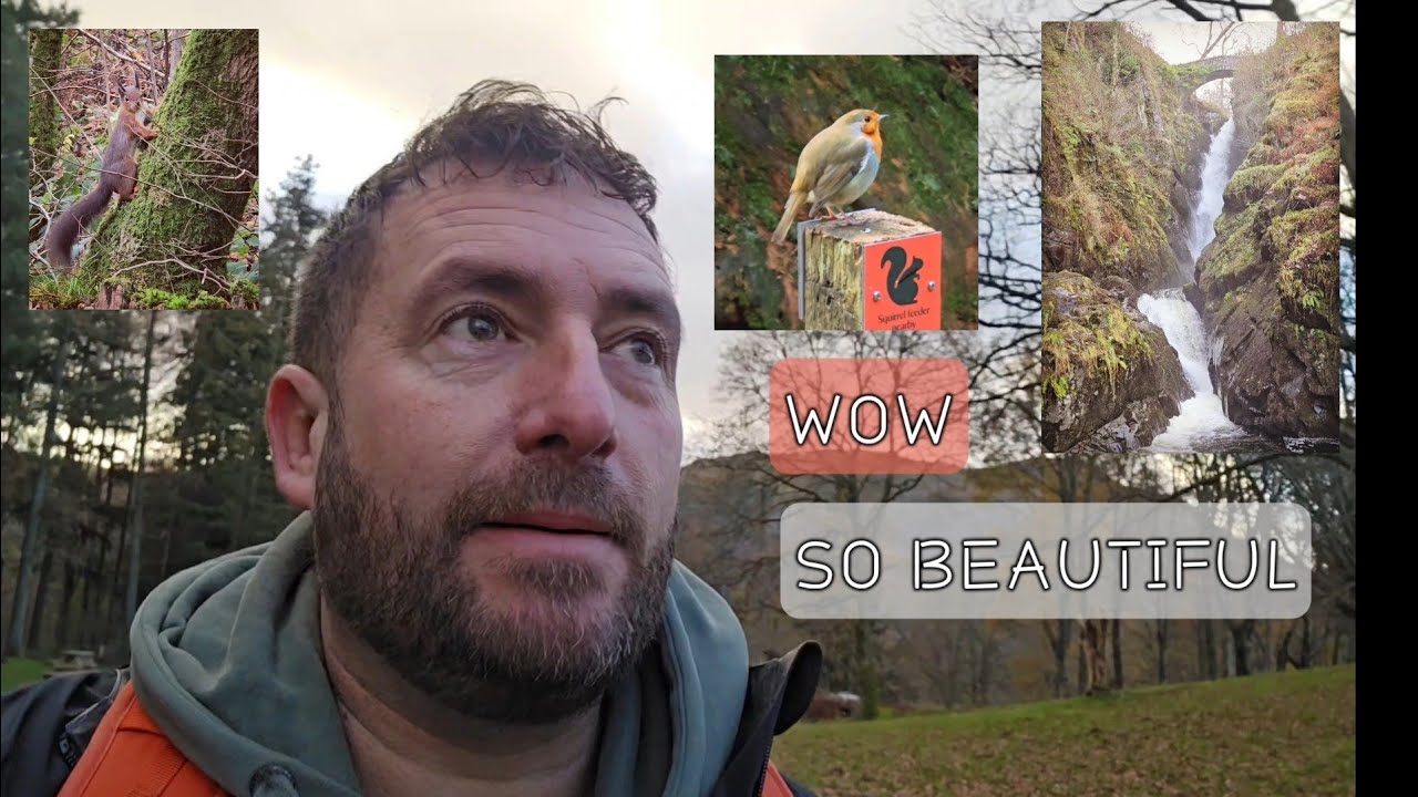 Can't Believe We Found This Place! Wow!