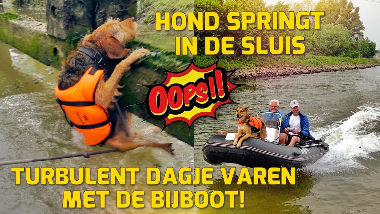 TURBULENT DAGJE VAREN MET DE BIJBOOT! HOND SPRINGT IN DE SLUIS! #249