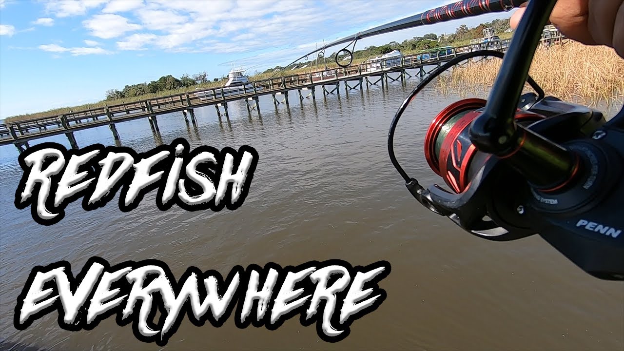 There were FISH EVERYWHERE (Fishing Apalachicola)
