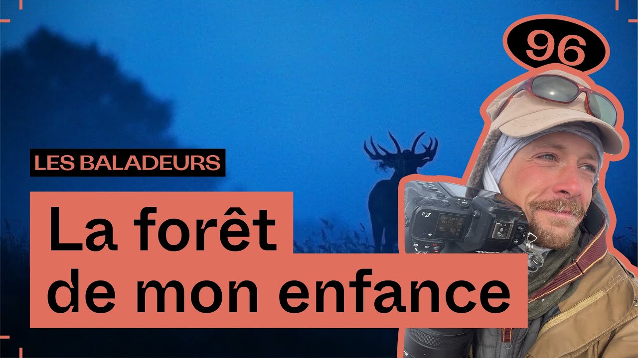 Les ombres sauvages de la forêt, avec Jérémie Villet #96