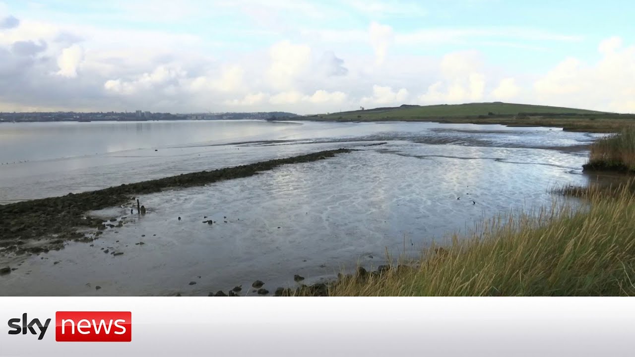 Government investment zones 'an attack on nature'