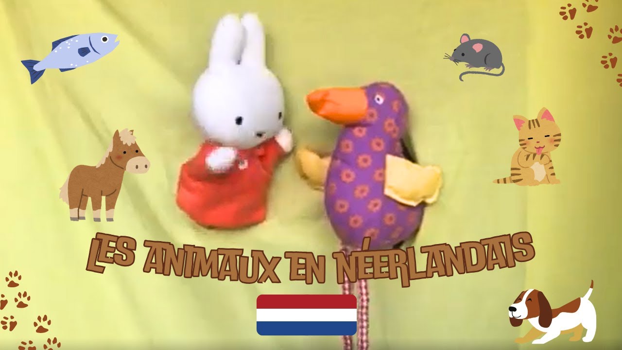 Les animaux en néerlandais - pour les CP