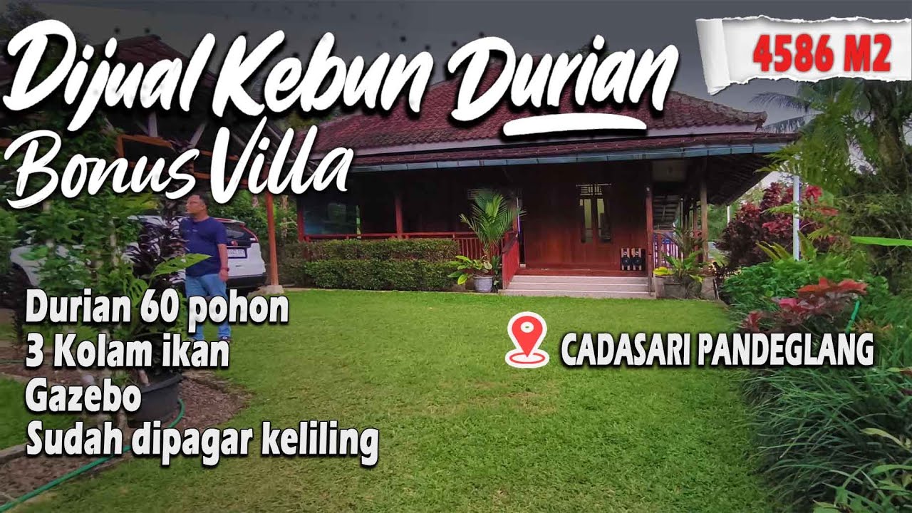 DIJUAL  Kebun Durian Bonus Villa, LT 4586 M2 SHM Lokasi Cadasari -Pandeglang Banten