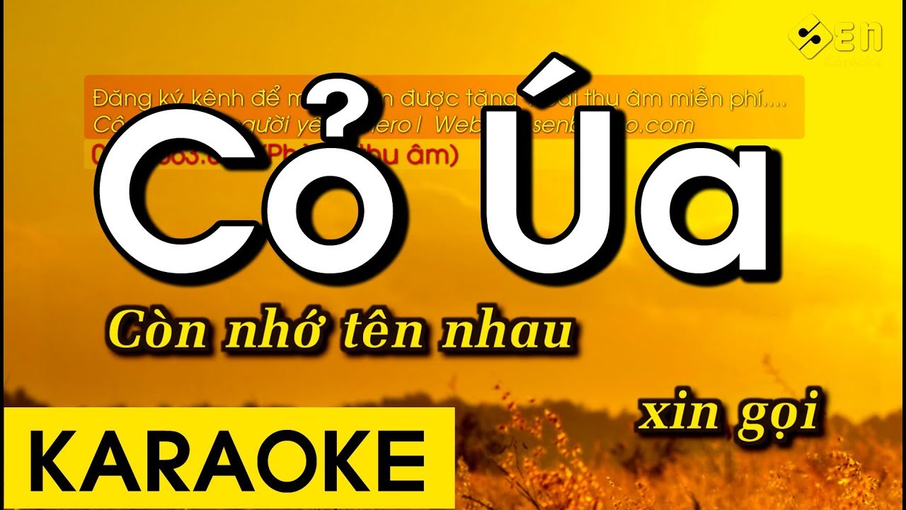 Cỏ Úa - Karaoke Beat Chuẩn