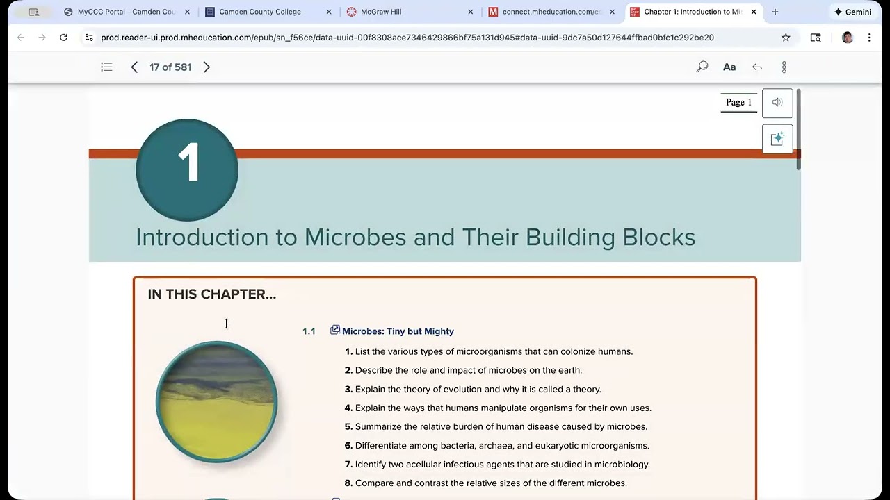 Accessing your Connect e-Book