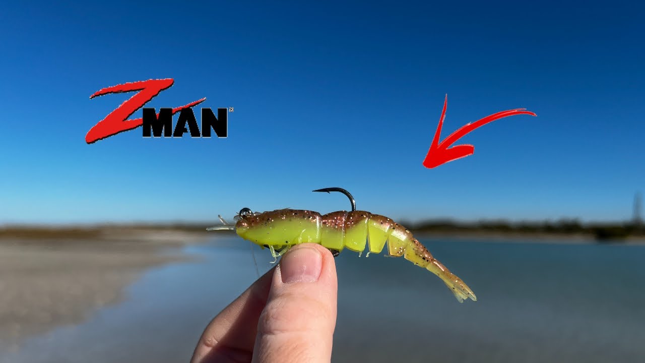 Testing the Z-Man EZ Shrimpz
