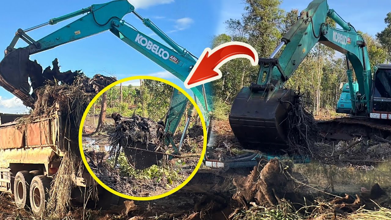 Happy watching excavator digging long stream and pond !