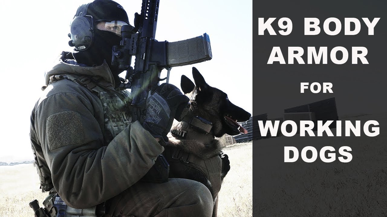 LOF // Tactical K9 Body Armour - K9 StreetFighter