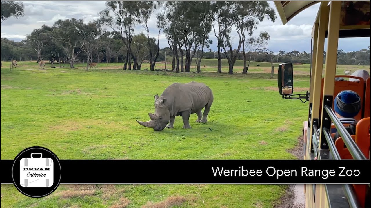 Werribee Open Range Zoo | Dream Journey
