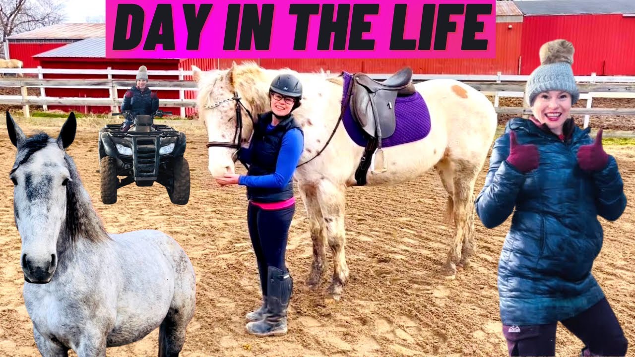 10 HOUR DAY ON A HORSE FARM!