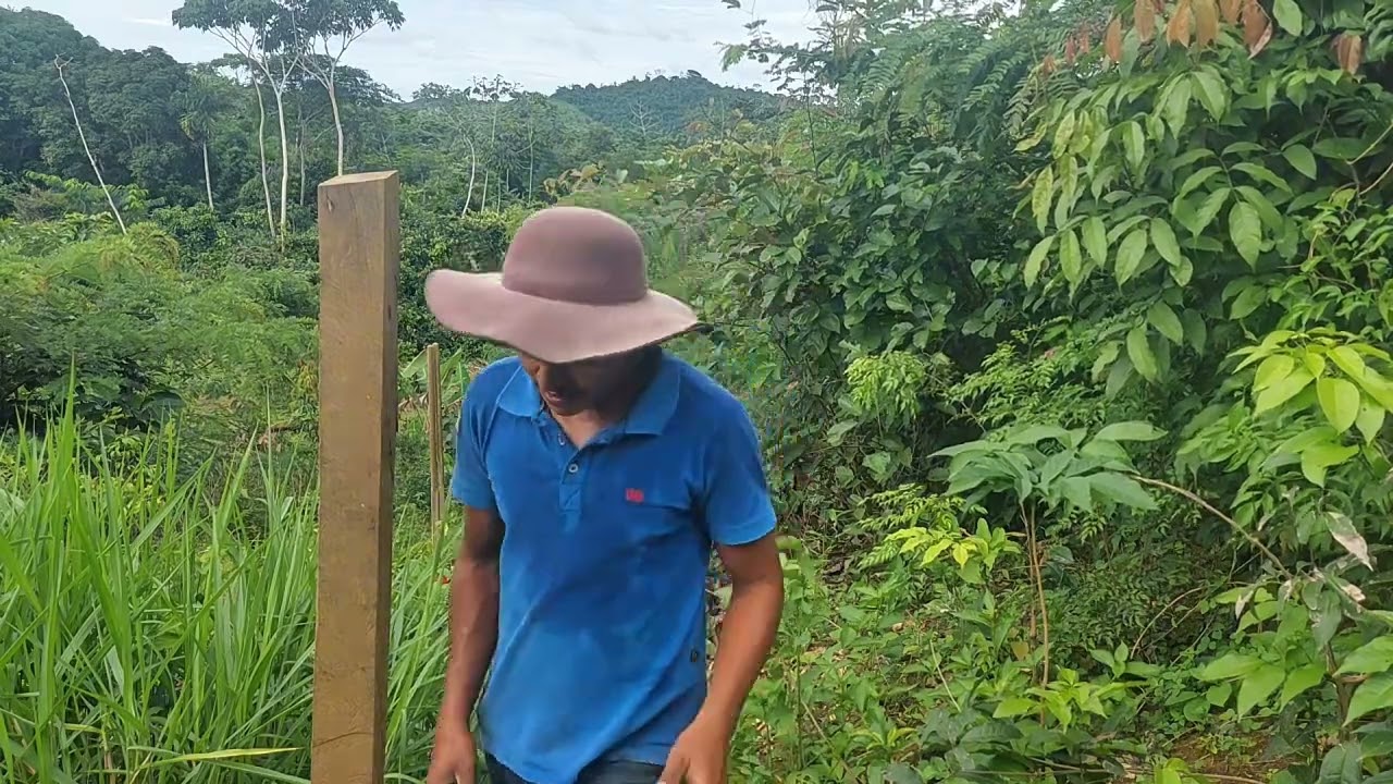Aplicação de pasta no cavalo e construção do piquete...