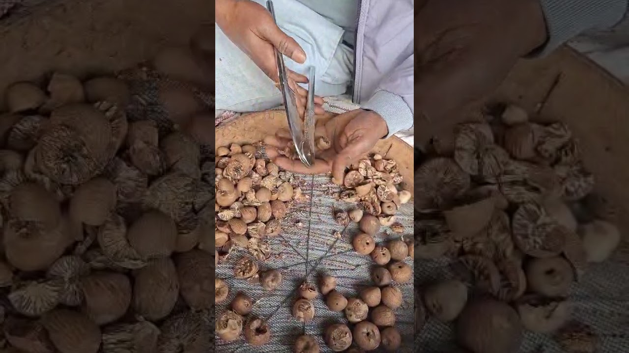 Fatoor 