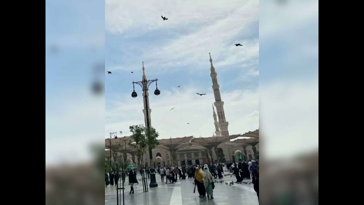 Mashallah ♥️