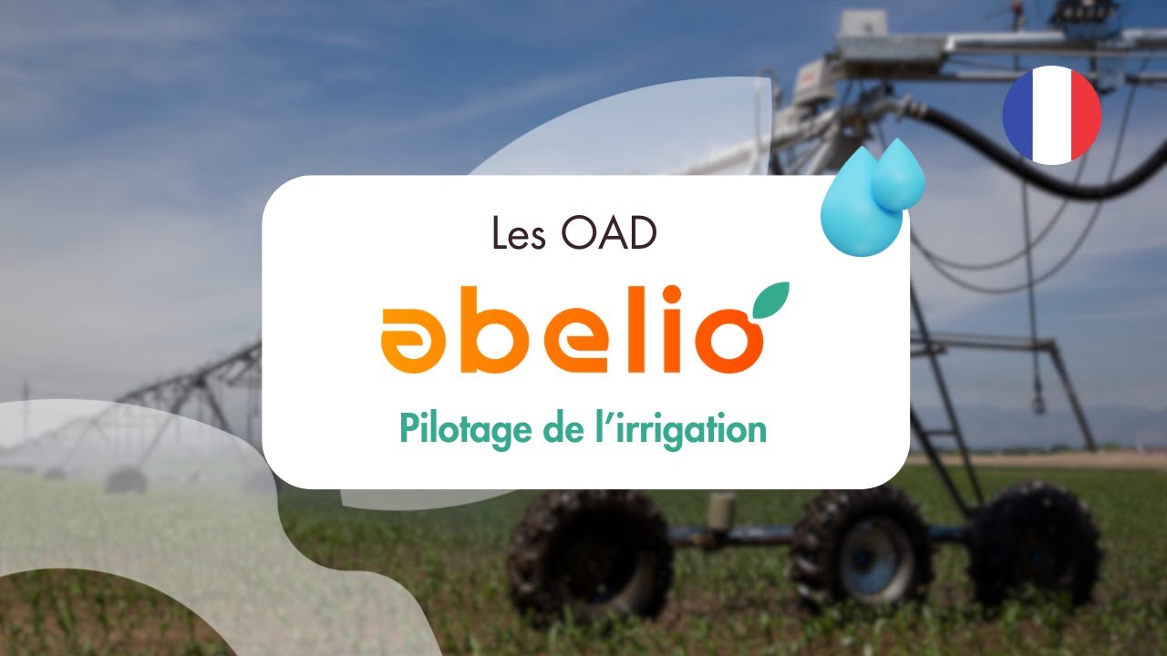[𝗟𝗲𝘀 𝗢𝗔𝗗 𝗔𝗯𝗲𝗹𝗶𝗼] Pilotage de l'irrigation💧🌾