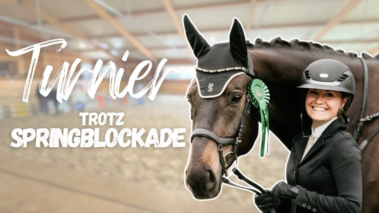 Ob das die beste Idee war…? 🐴
