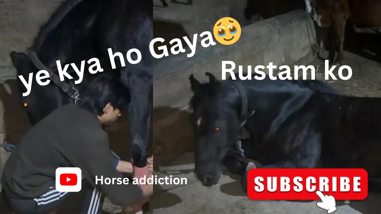 Ye kya ho Gaya rustam ko 🥹