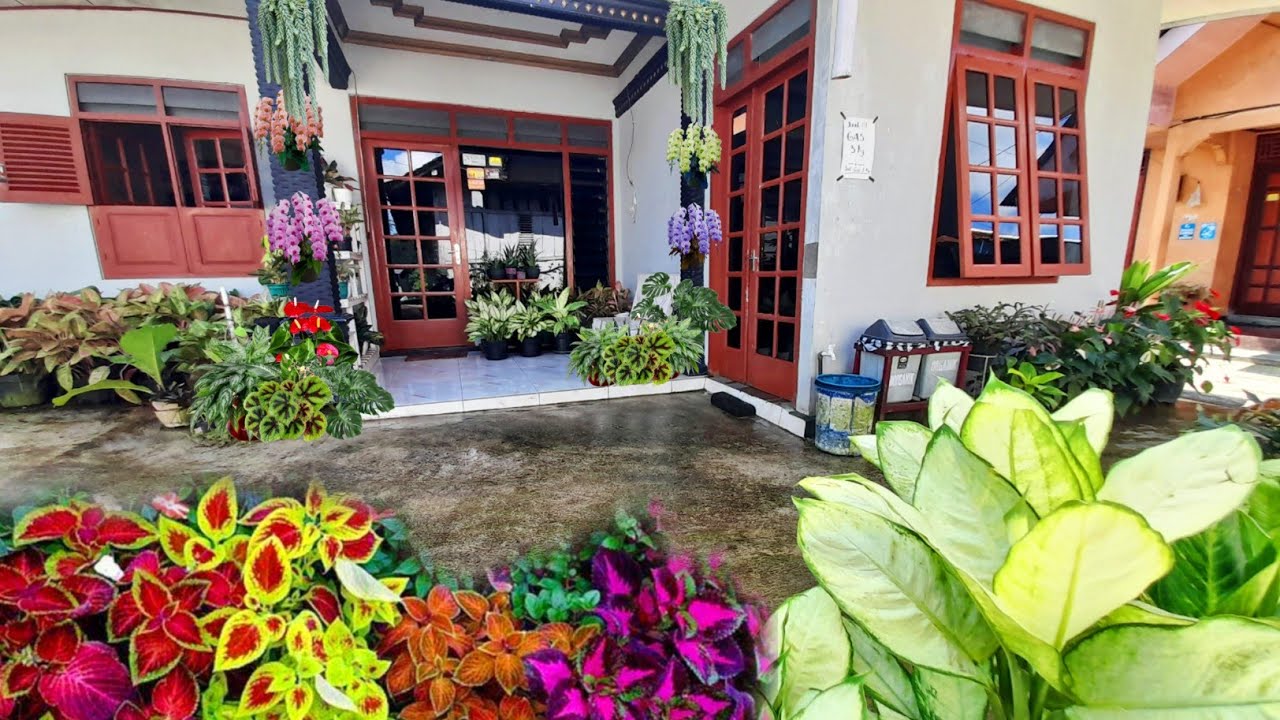 Hujan melimpah bikin tanhias depan rumahku tumbuh subur mumbyuk² bikin tetangga bahagia