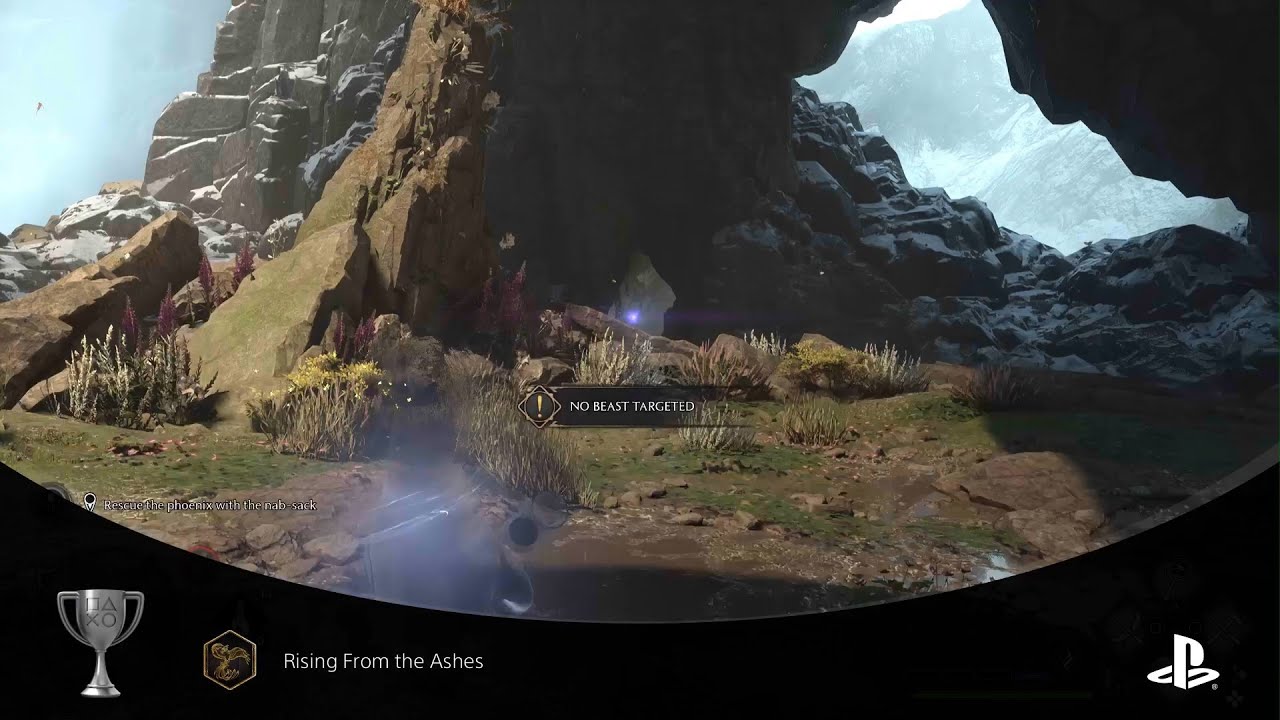 Rising From the Ashes Silver Trophy How To Guide - Hogwarts Legacy PS5
