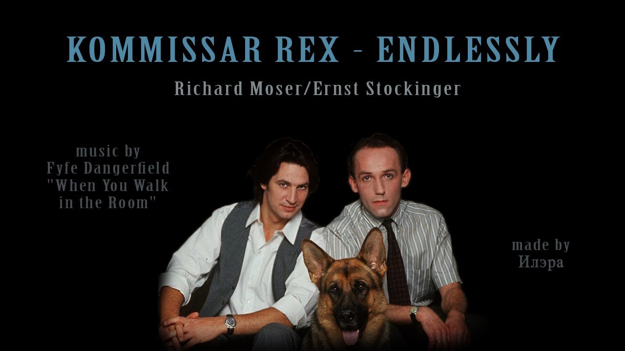 Kommissar Rex - Endlessly
