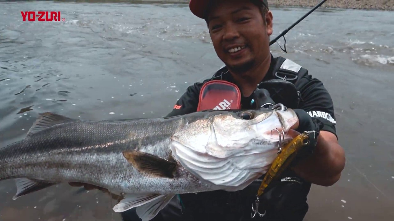 YO-ZURI 3D INSHORE® TOPKNOCK PENCIL (F)100mm/125mm 登場！(957)