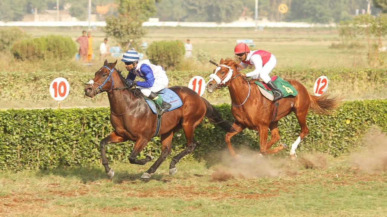 4th Race A Term Cup Race Distance 1400 Meters Winner One Man Band ( Pakistan Horse Racing ) Shabaz A