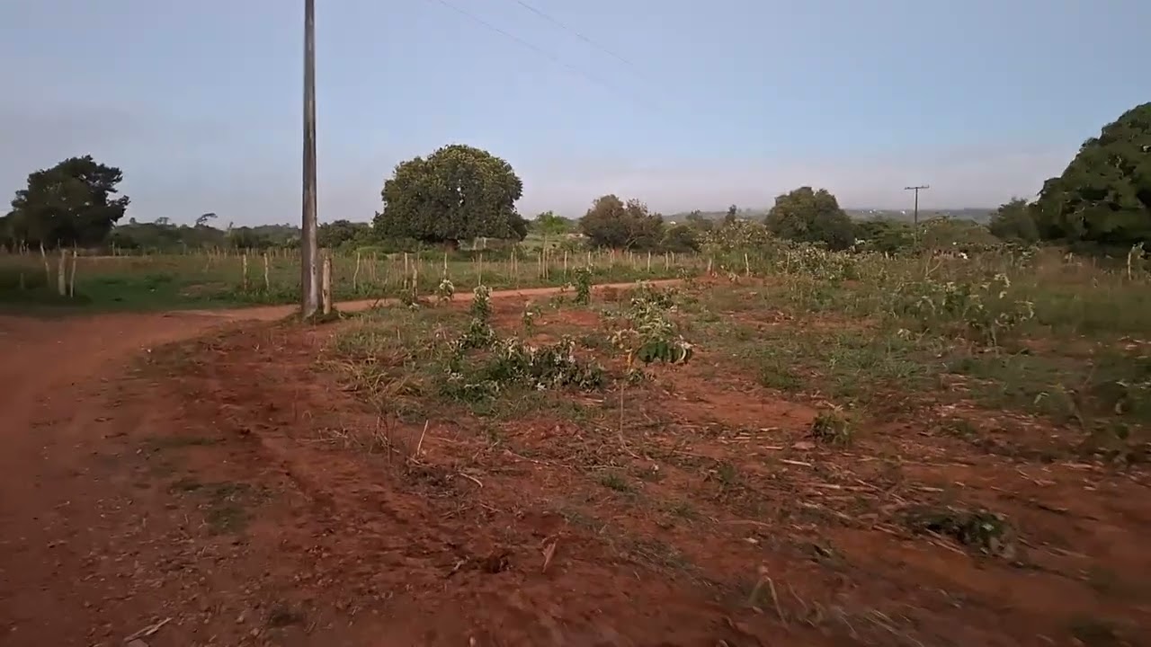 Linda manhar nur meu nordeste baiano 