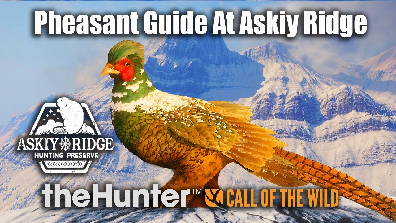 Pheasant Guide At Askiy Ridge - theHunter Call Of The Wild.