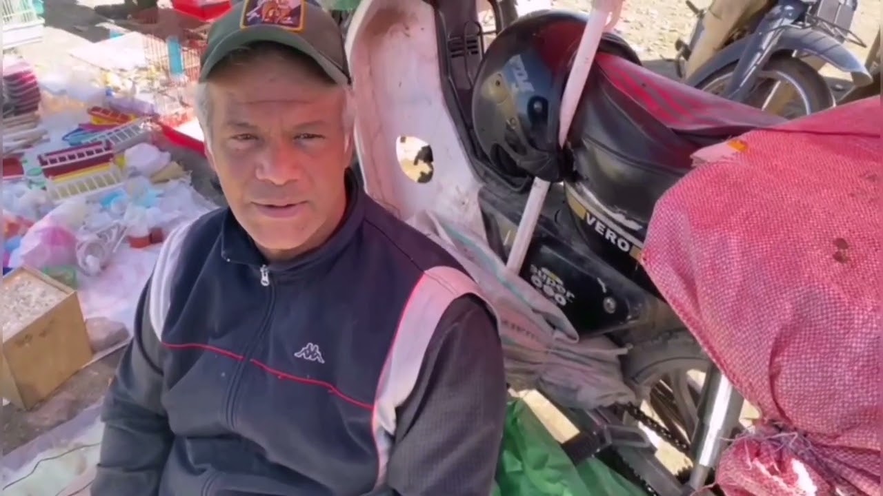 سوق الحمام زينة بمراكش تعرف على جميع أنواع حمام زينة و دجاج زينة أسعار مختلف 21/3/2023ديما جديد🕊️🐓