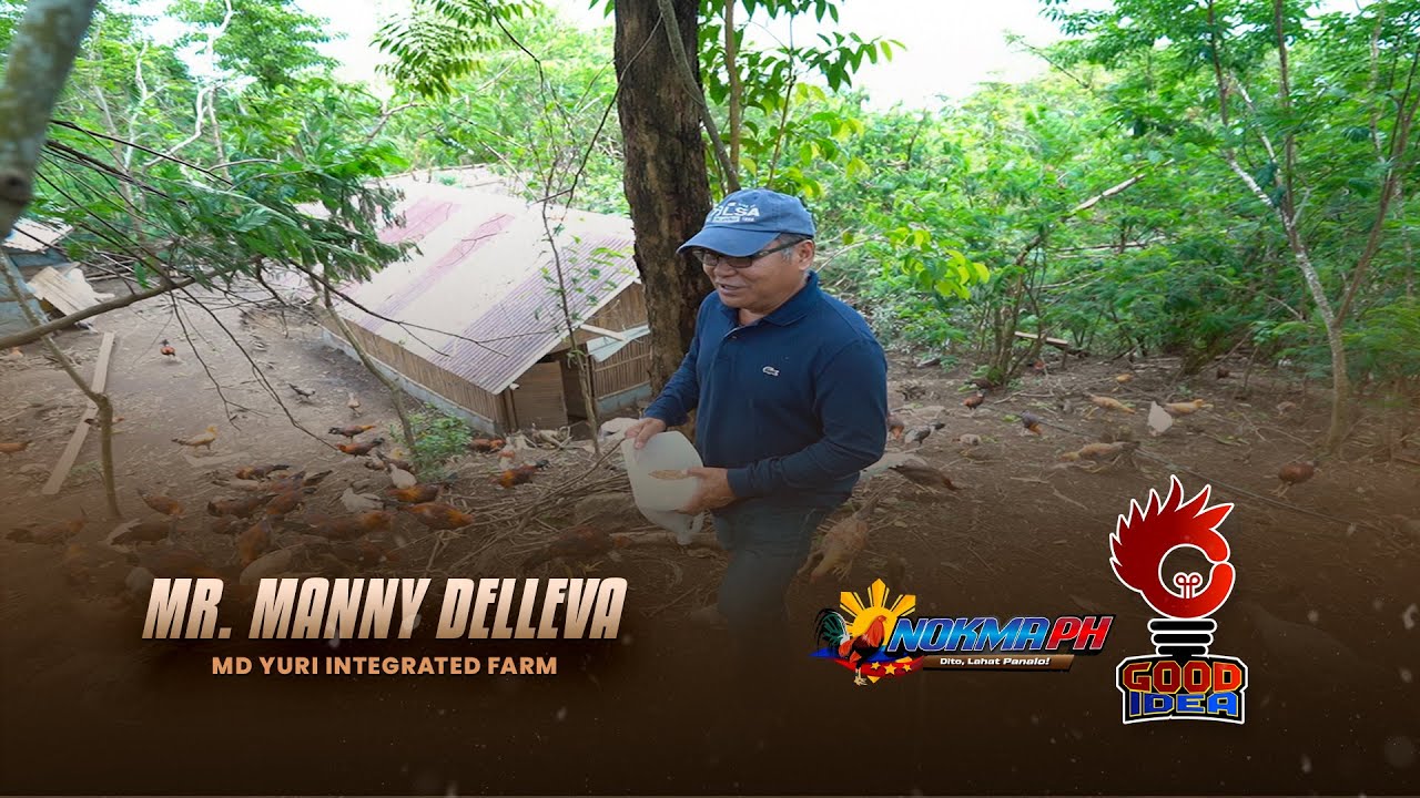NOKMAPH - GOOD IDEA - STYLE OF RANGING - MR  MANNY DELLEVA