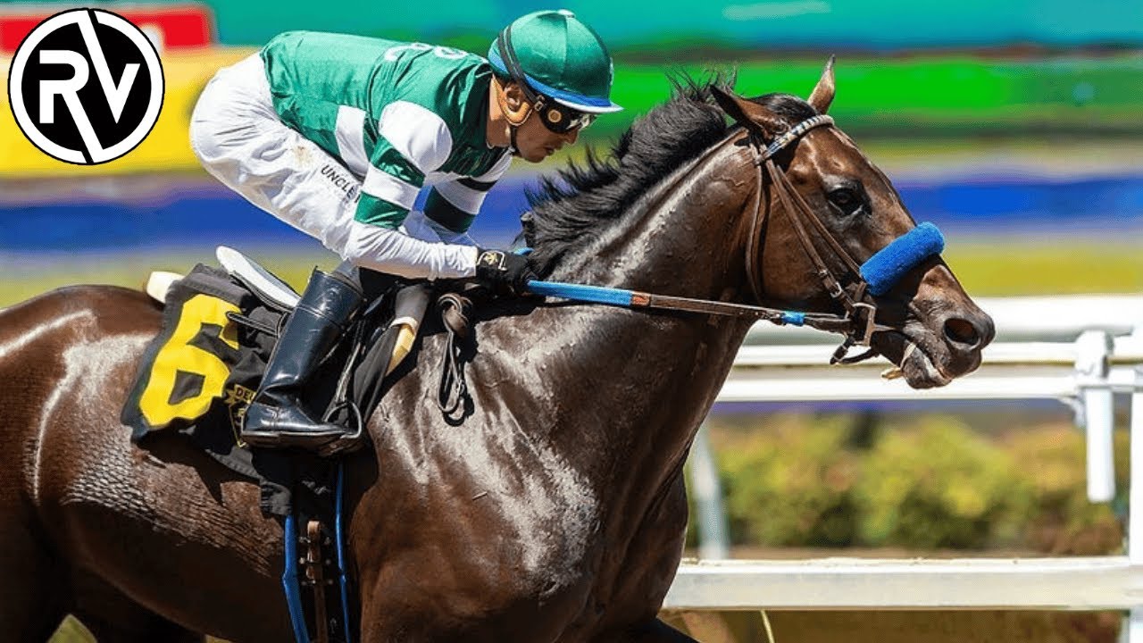 TODO sobre el Pura Sangre Ingles: Datos Claves Revelados