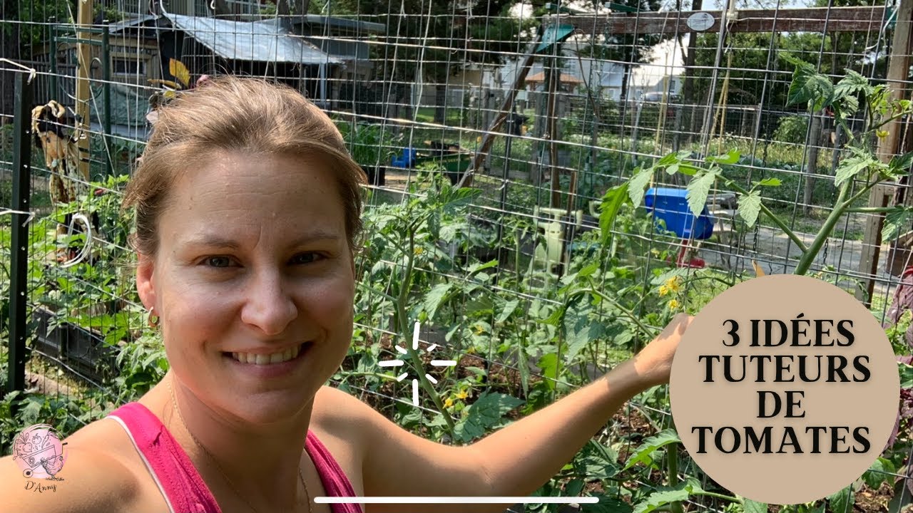 🍅 3 systèmes de TUTEUR DE TOMATES simple  | Tour du potager Vlog