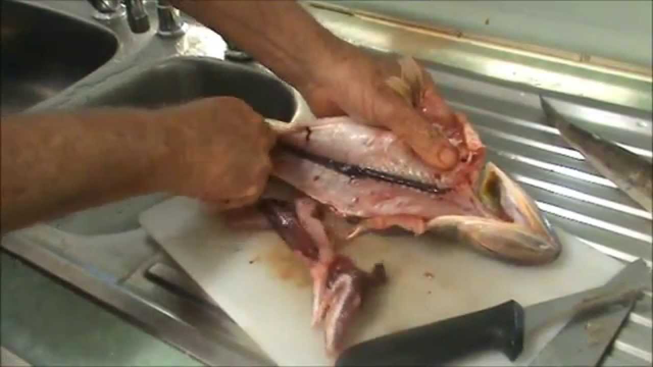 Making Grinner - Lizard Fish, Fish Cakes.