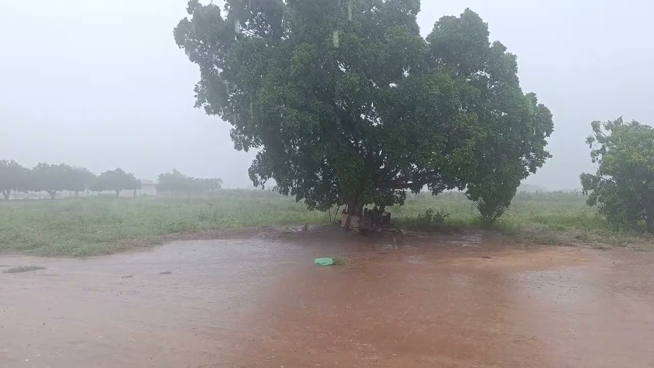 Muita chuva no nordeste, Bahia e Pernambuco na data de hoje
