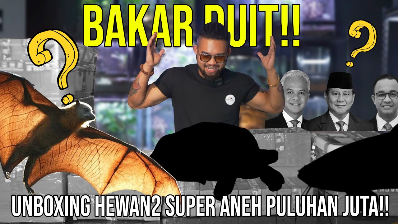 BAKAR DUIT!! UNBOXING HEWAN-HEWAN SUPER ANEH PULUHAN JUTA??#Audreykingofthejungle #indoexotic