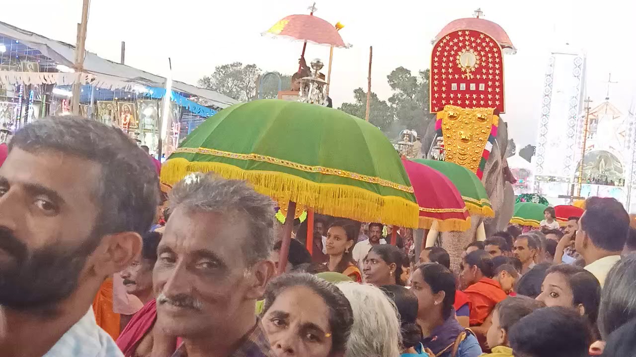 Pallikunnu wayanadu   lourd maatha church