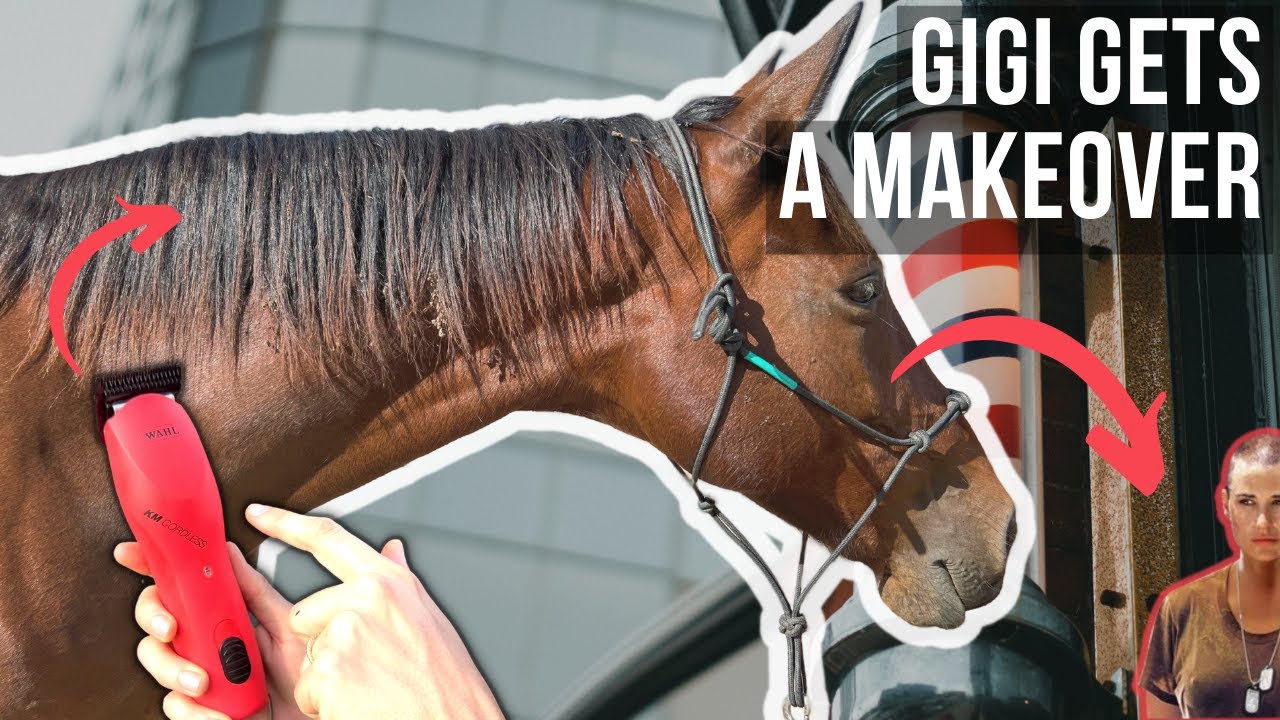 GI-G.I. JANE || From hippie hair to military cut || Horse makeover part 2
