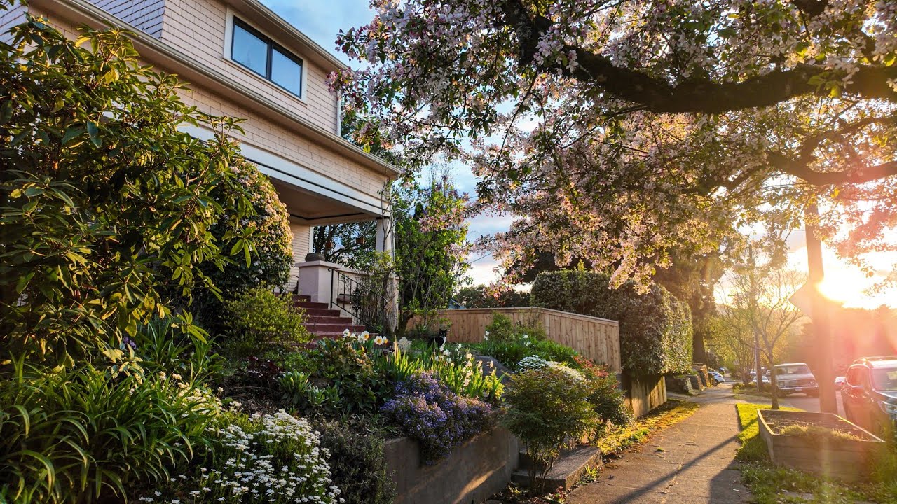 Sunset Walk in Spring Through Portland, Oregon Neighborhood | City of Roses🌹