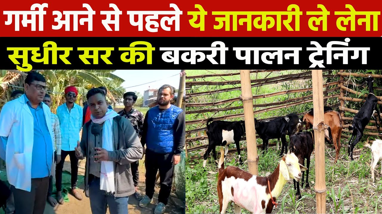Sudhir Sir की बकरी पालन ट्रेनिंग में बताया गर्मीं आने से पहले Goat Farming में क्या करना चाहिए ?