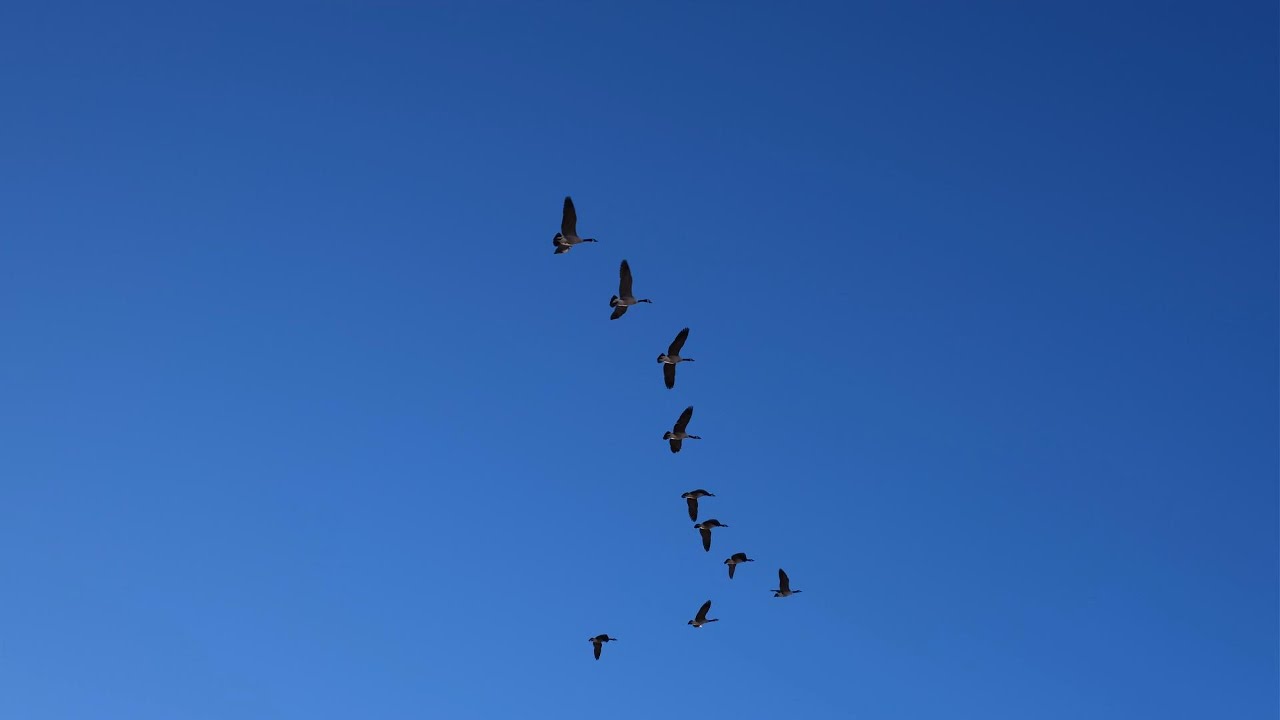 Day 15 — Untitled Days