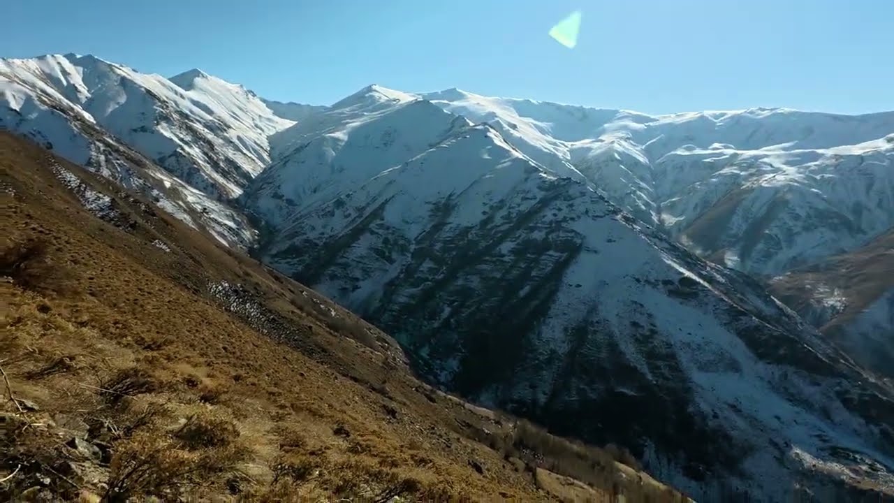 pusmuş. kiloluk keklik ler. Keklik avı. Partridge hunting ,oxora Ha Kyponatka