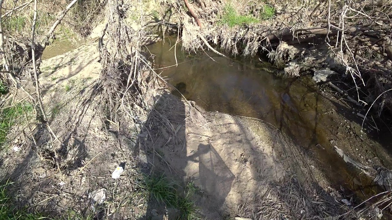Nature Wonderland; not catching a single target minnow in the first half an hour 20260317