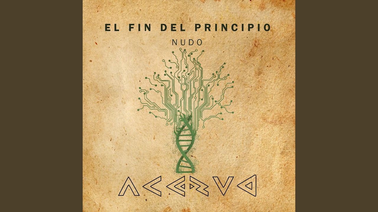 Pajaros de papel