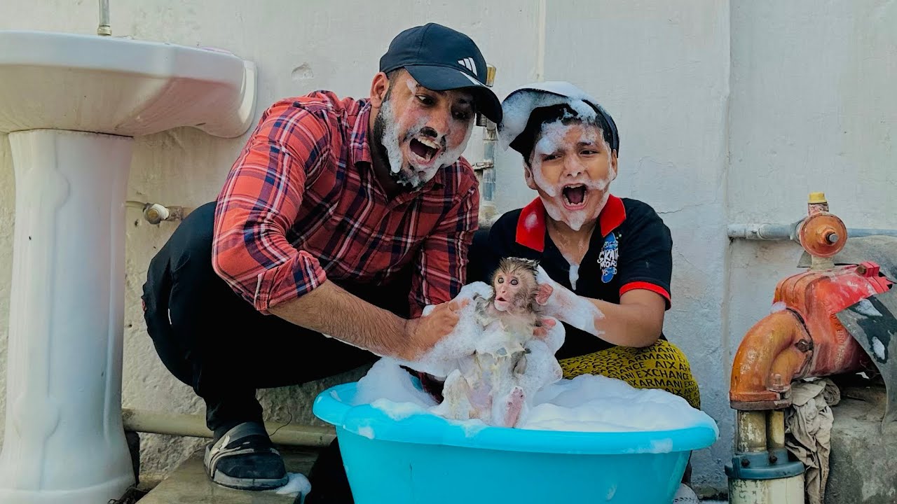 Khatarnak monkey baby ko nehla deya 😱 || Ali pr Attack kr deya 😳 ||