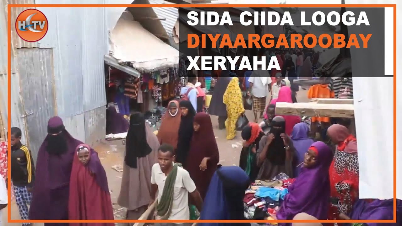 Xeryaha Qoxoondiga ee Dhadhaab oo laga dareemayo  u diyaargarawga Ciida.