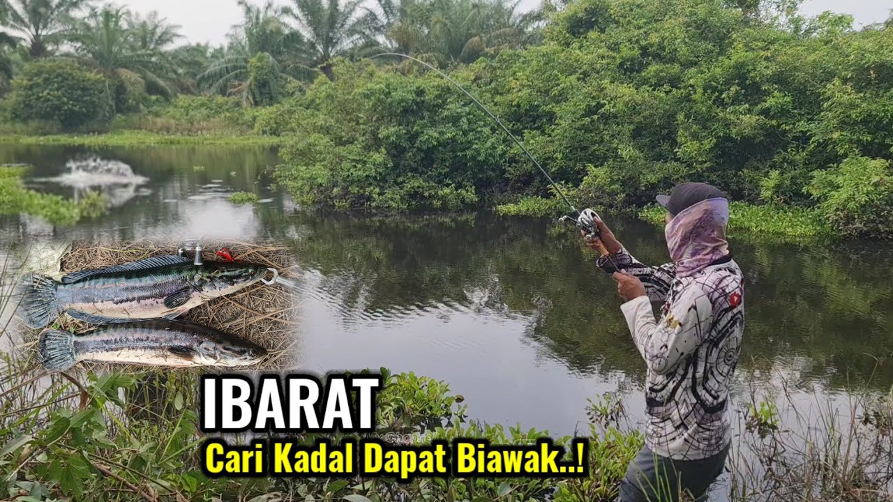 MENEMUKAN PERAIRAN HITAM YANG DI HUNI MONSTER TOMAN SUPER GANAS || GANAS NYA SAMBARAN TOMAN