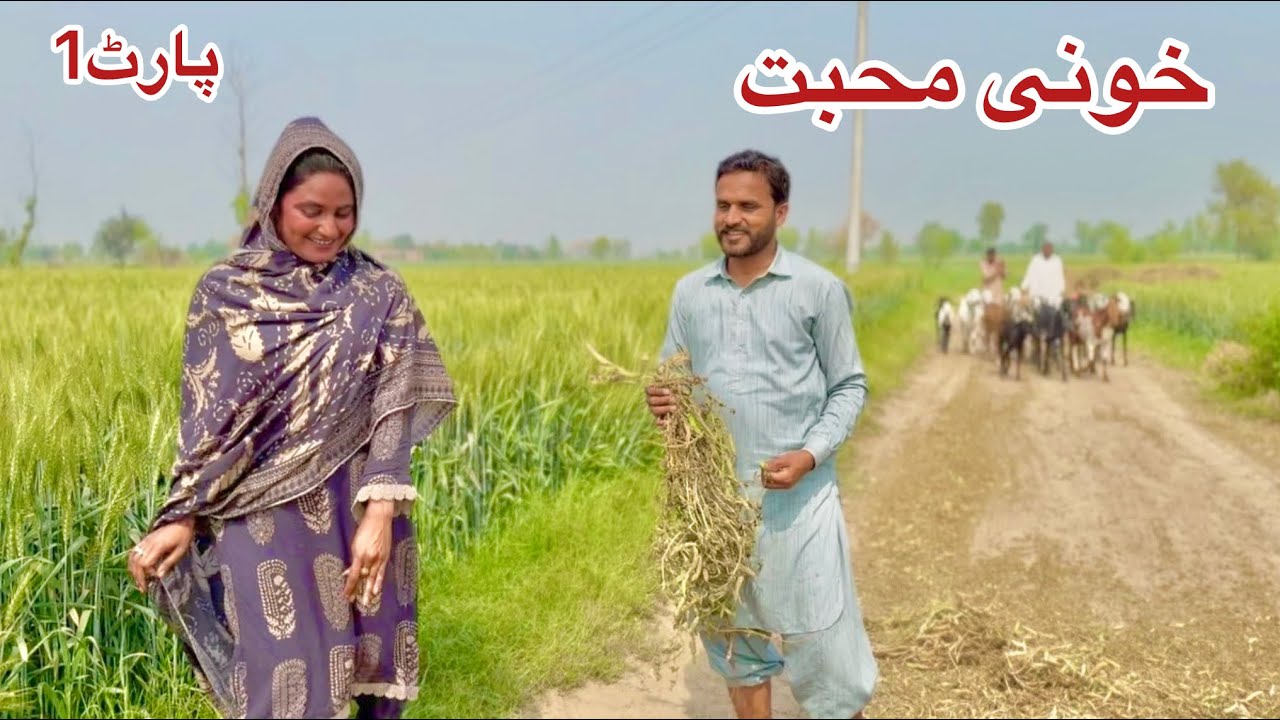 KHONI MOHABBAT/PART1/NEW PANJABI CULTURE DRAMA/AHMAD SHER OFFICIAL TEAM/NEW 2026